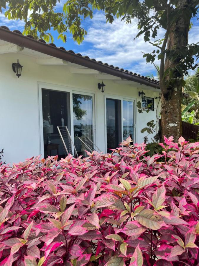 ボカ・チカ Boca Brava Paradise Bed & Breakfast エクステリア 写真