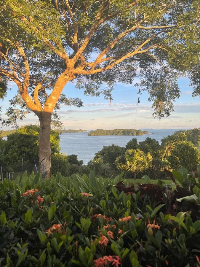 ボカ・チカ Boca Brava Paradise Bed & Breakfast エクステリア 写真