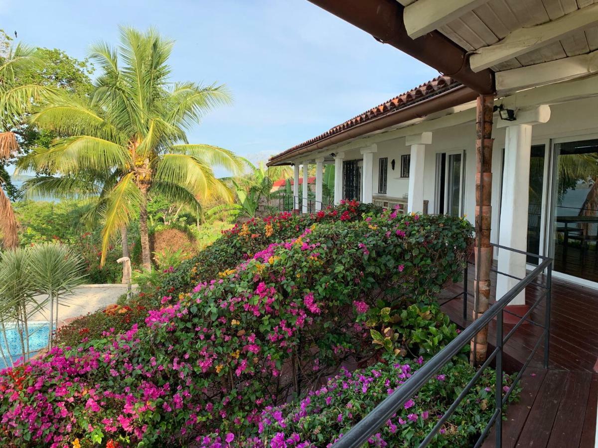 ボカ・チカ Boca Brava Paradise Bed & Breakfast エクステリア 写真