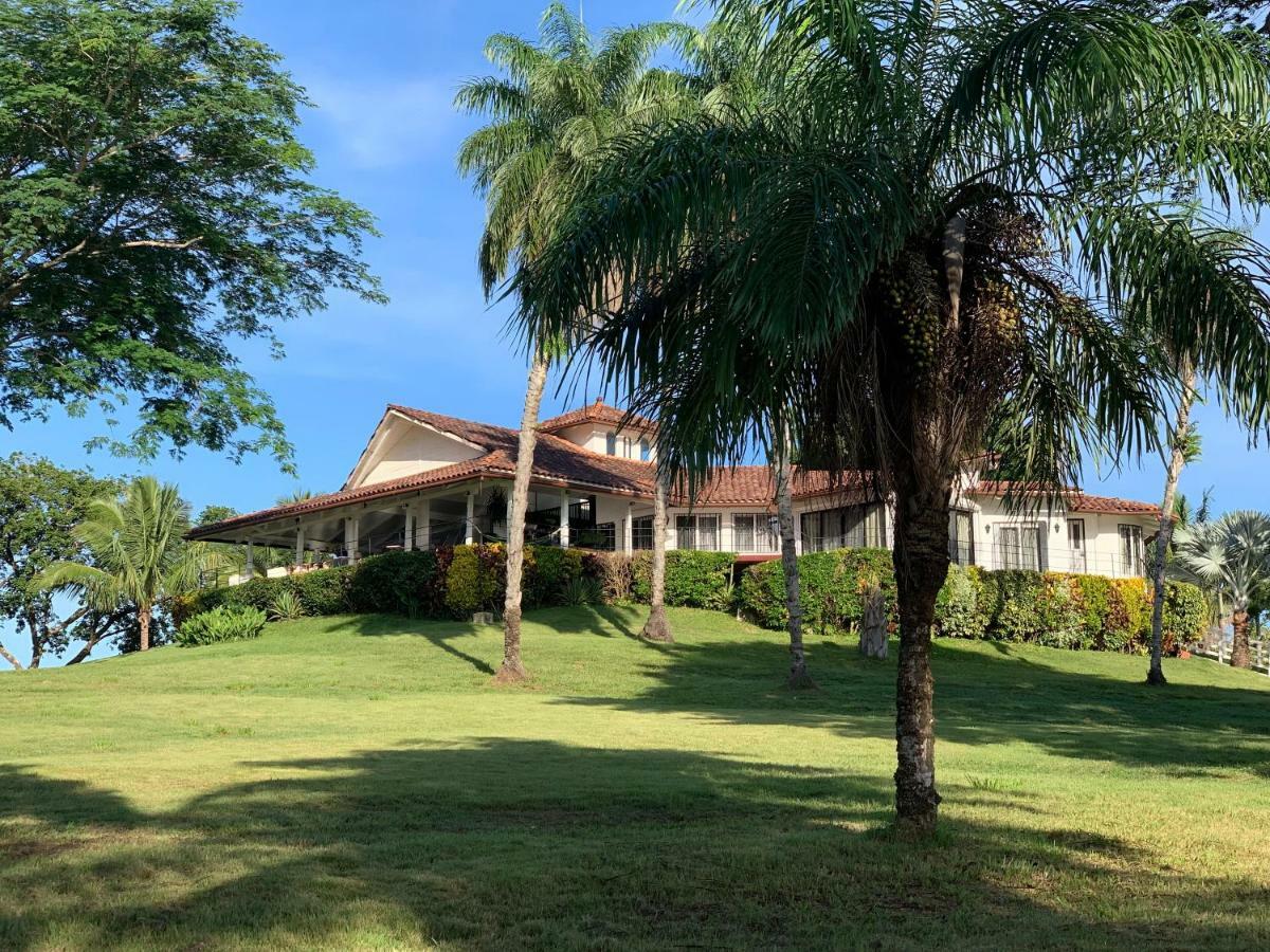 ボカ・チカ Boca Brava Paradise Bed & Breakfast エクステリア 写真