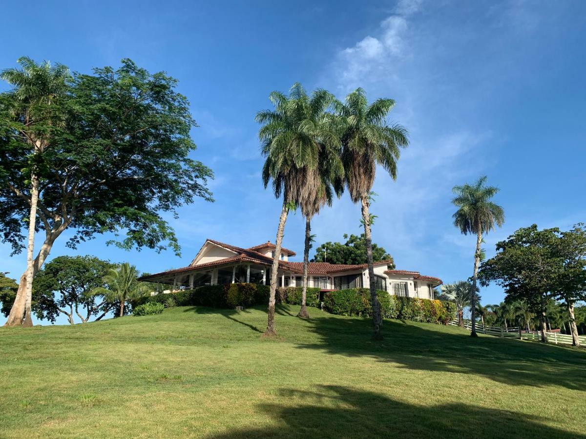 ボカ・チカ Boca Brava Paradise Bed & Breakfast エクステリア 写真